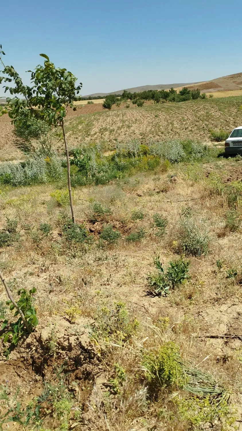 باغ روستای گنبد