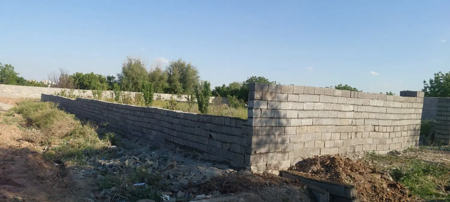 پیشک یک خیابان بهار