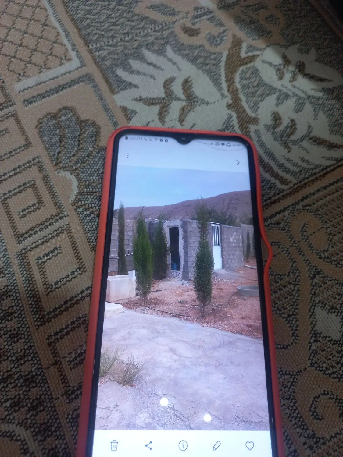 باغ مجتمع لادن