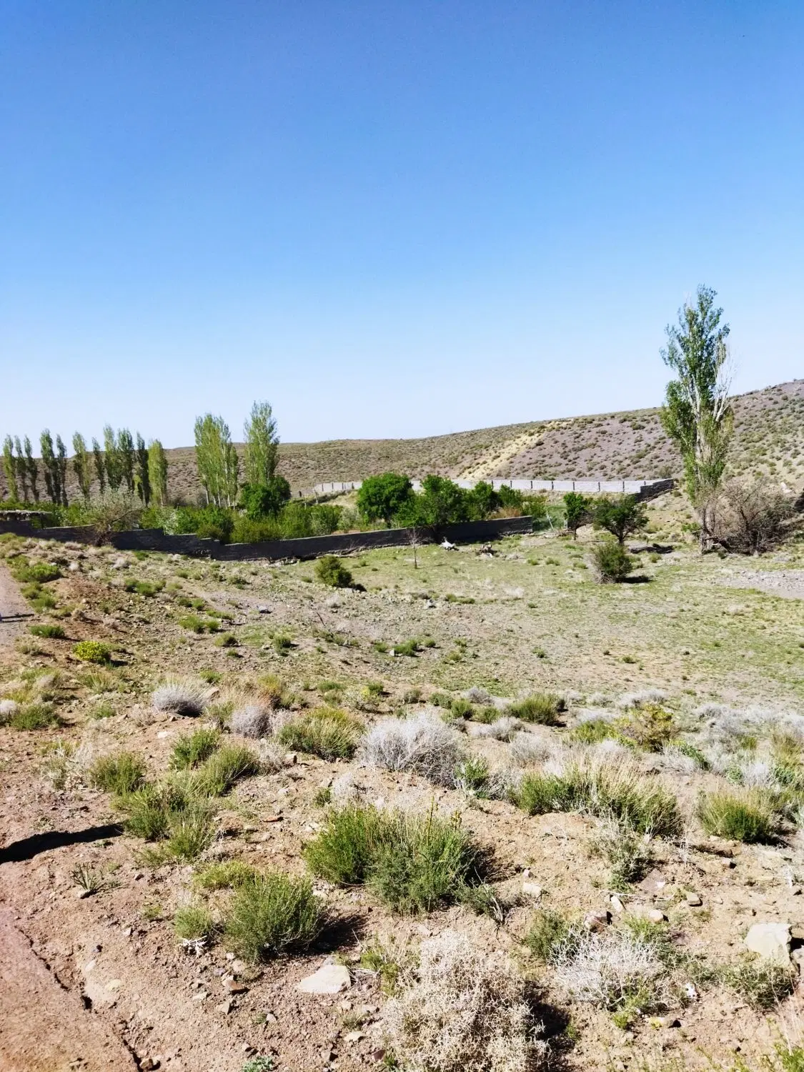 زمین