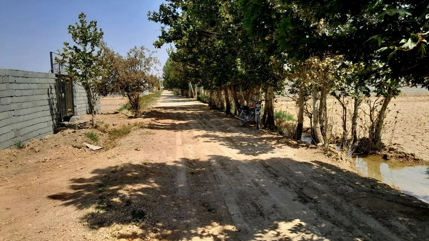 باغ چهار دیواری با سهمیه آب از چاه