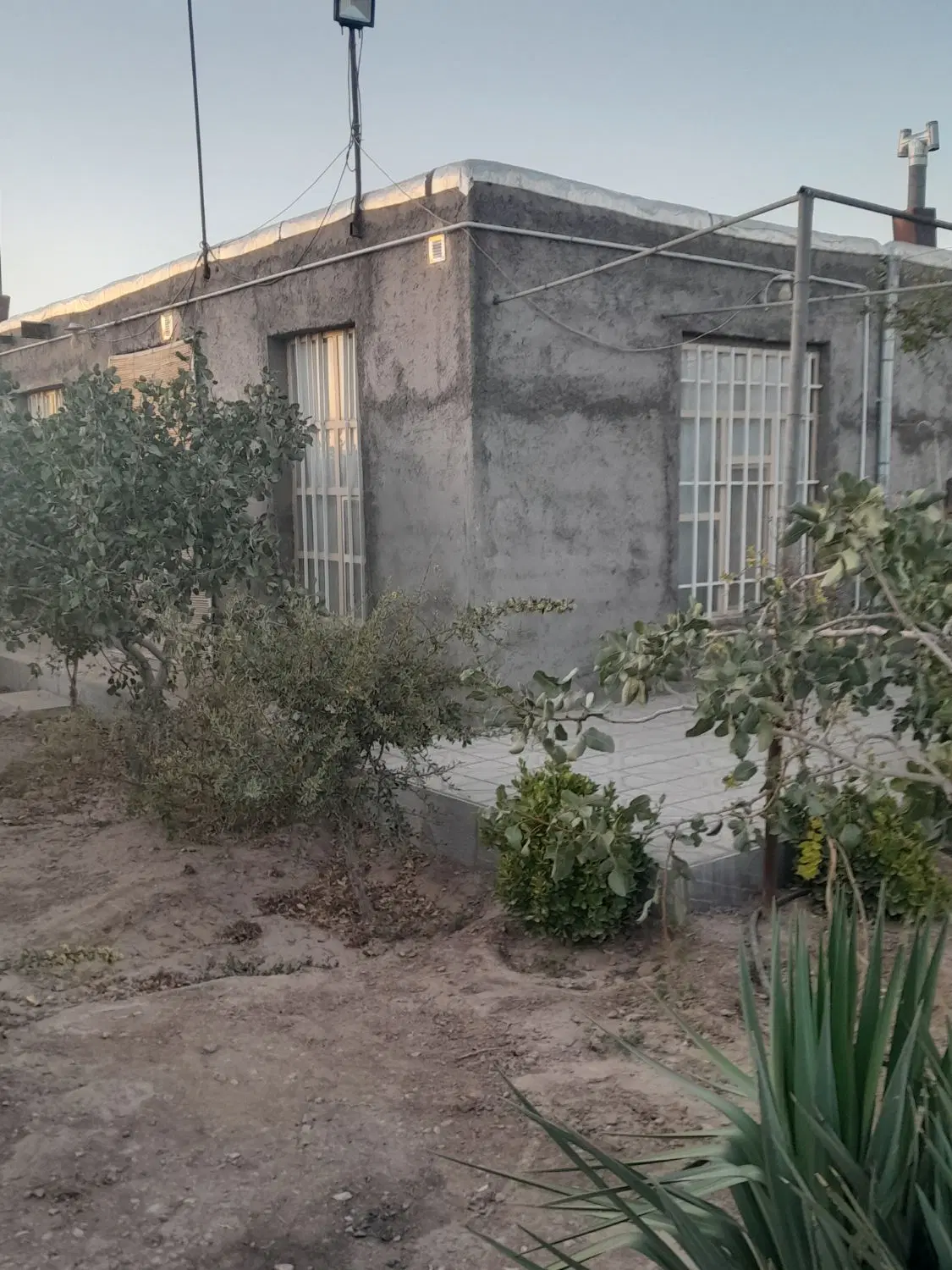 باغ ویلا