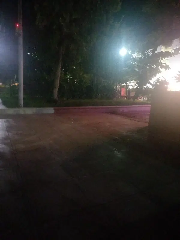 باغ در جاده قدیم