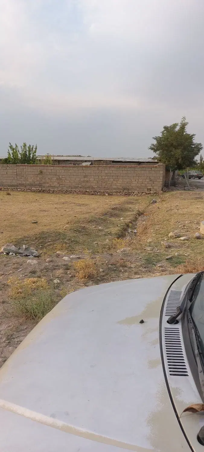 زمین ۲۴۶ متری