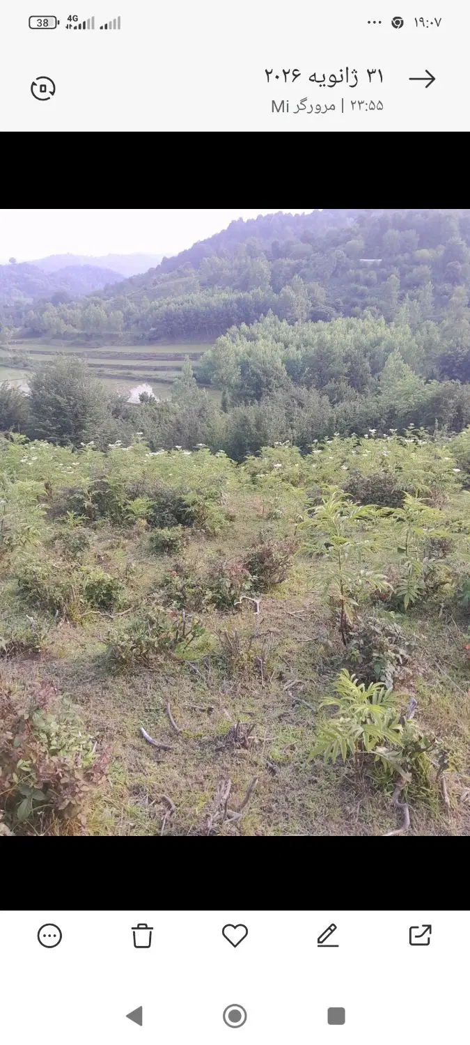 زمین‌مستسنیات‌باغی‌واقع‌دراطاقور‌روستای‌ایشیان‌