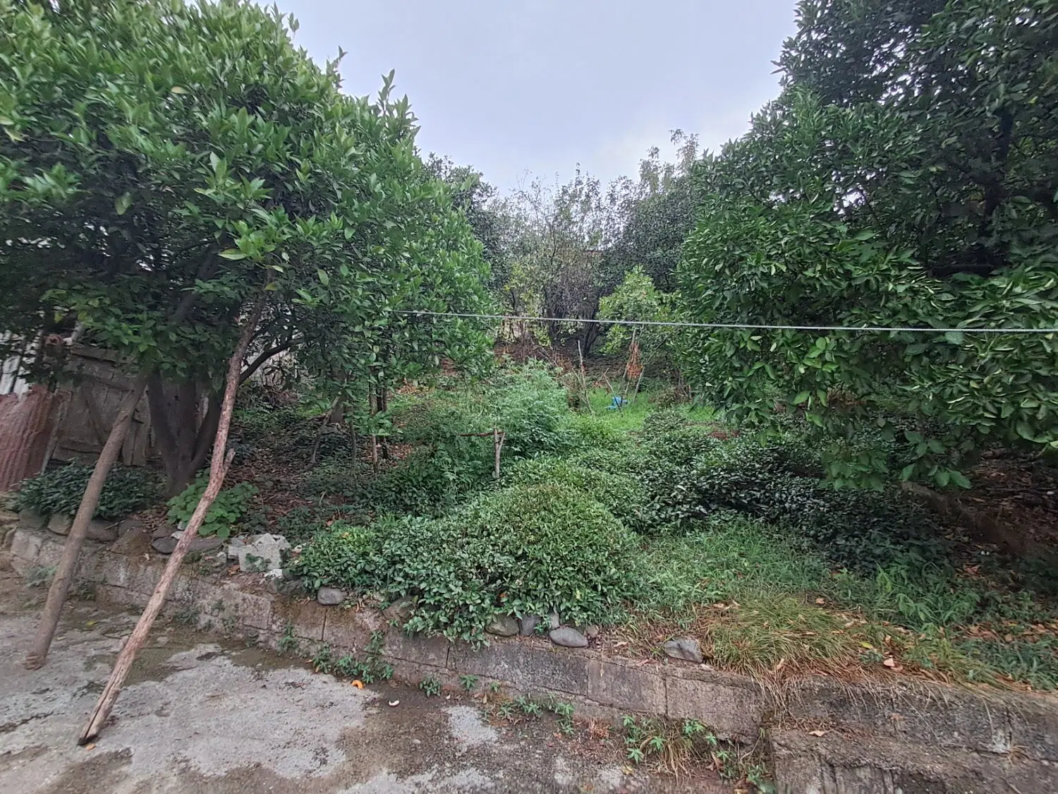 زمین مسکونی