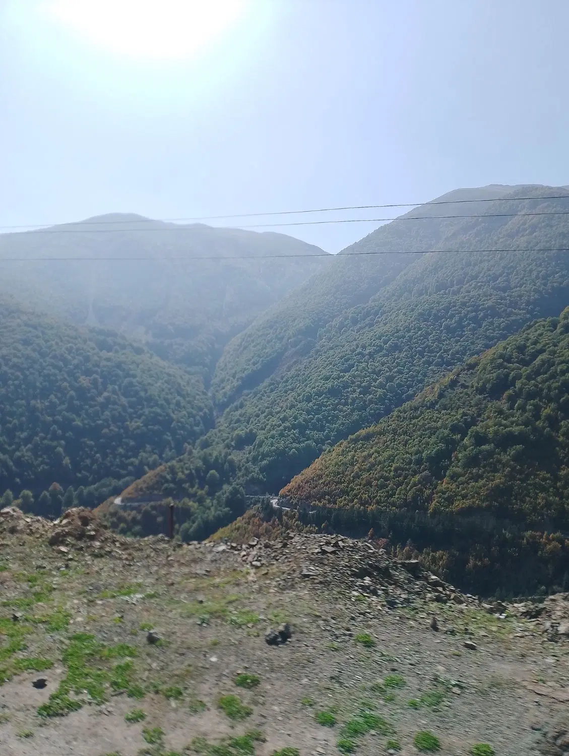 فروش ۸۹۰۰ متر زمین ییلاقی