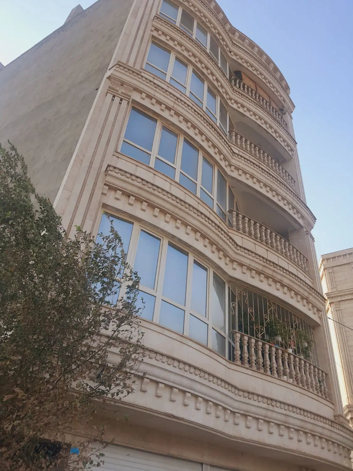 محمود نژاد