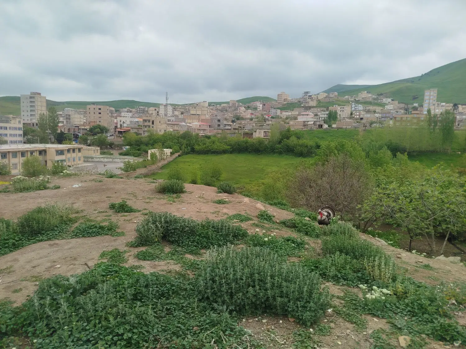 زمین‌مسکونی‌ گرمی‌‌