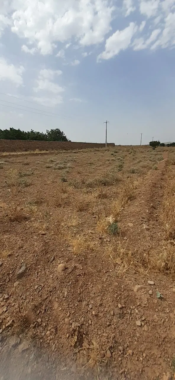 فروش زمین باغی
