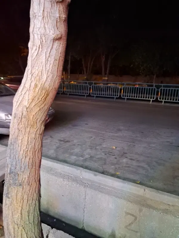 فروش زمین تک جم بهارستان