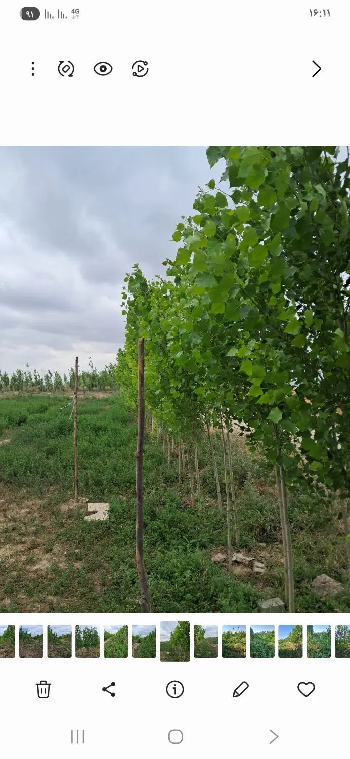 باغ اردبیل گلمغان یک کیلومتری اردبیل