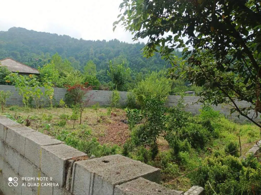 زمین مسکونی 250 متر