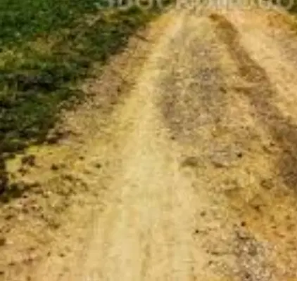 زمین گوار