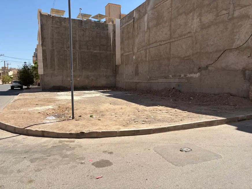 زمین جوان و فلسطین