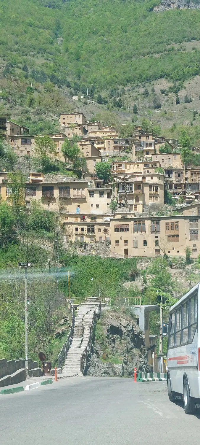 زمین باغی دیوار کشی شده