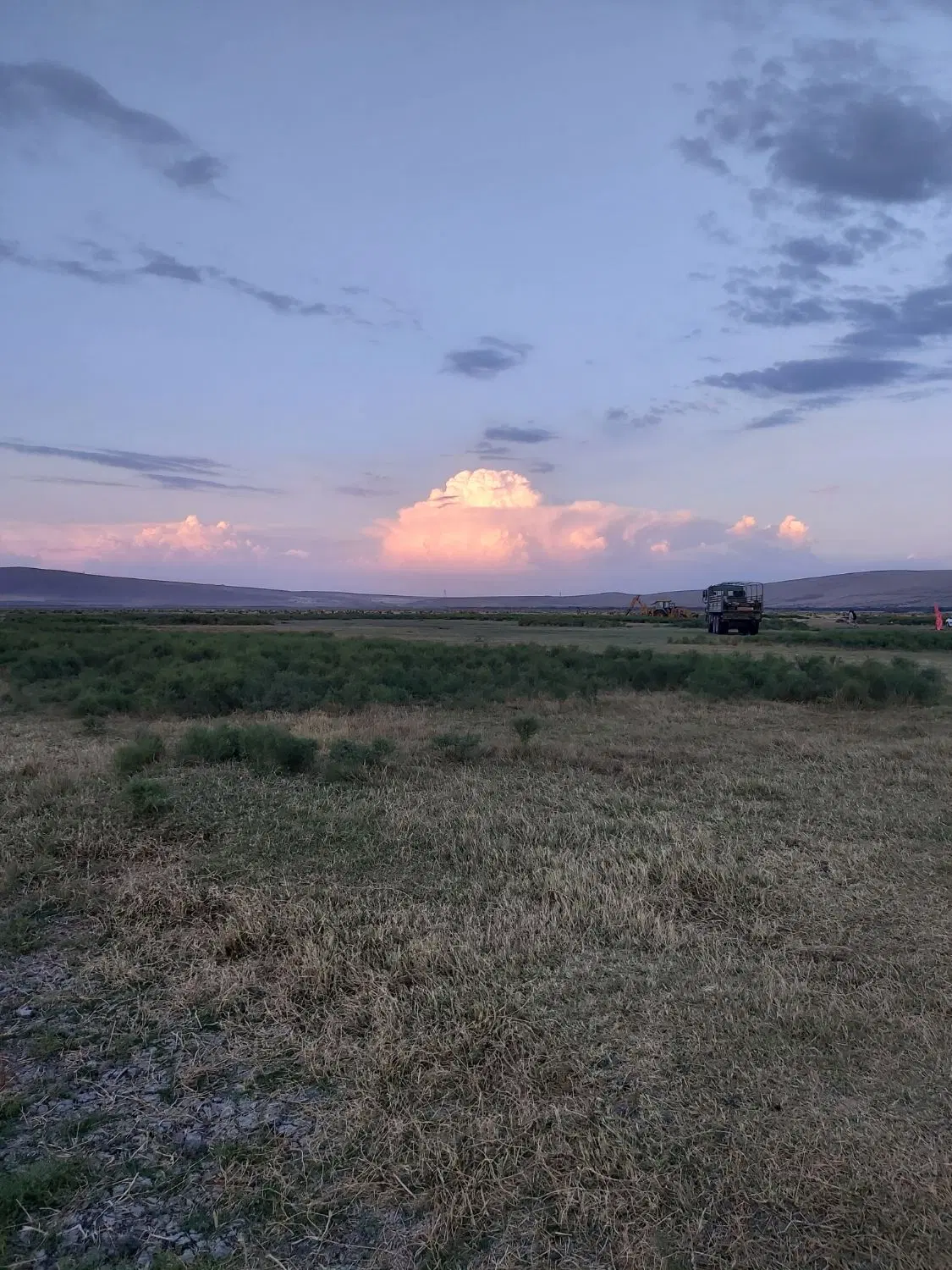 زمین دانشگاه پشت پارک جنگلی