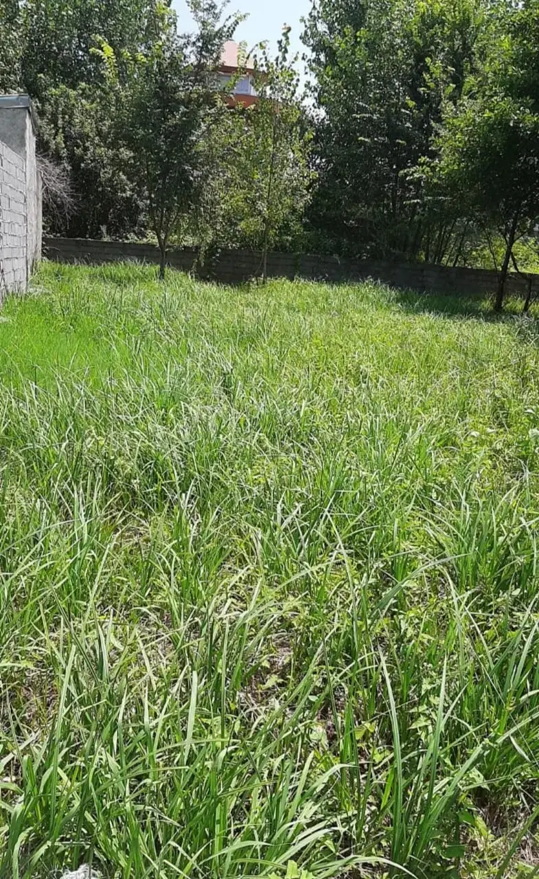 ۲۵۰ متر زمین داخل طرح هادی روستای داخل