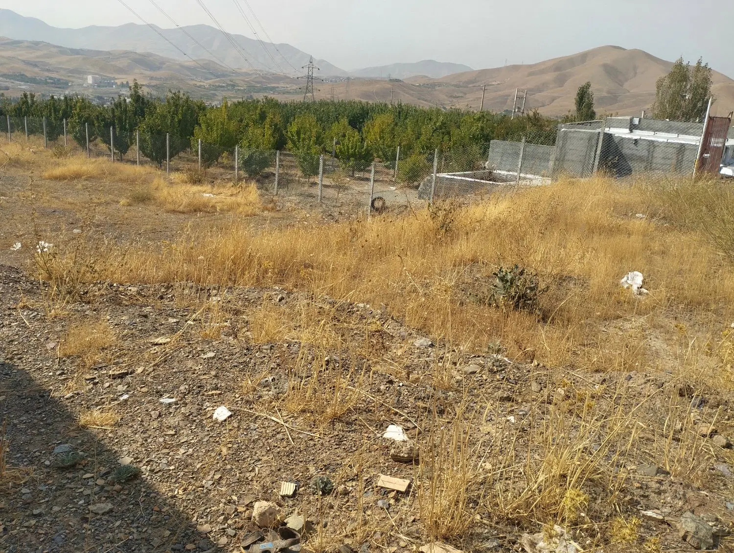 زمین کشاورزی روستای قلیان
