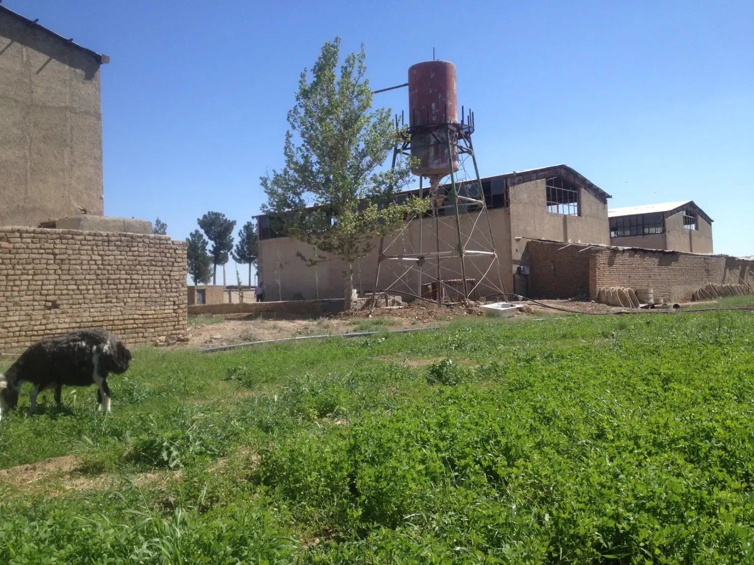 فروش زمین صنعتی بزرگ