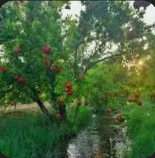باغ دهسرد زمین دهسرد