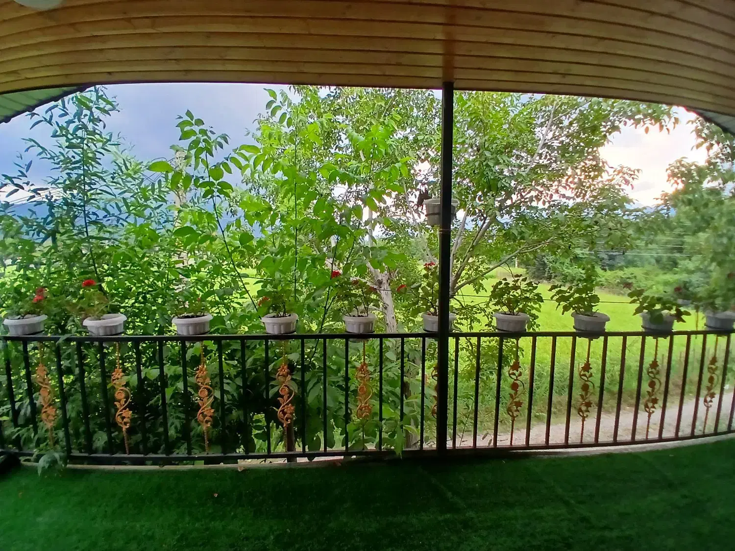 اجاره روزانه کلبه جنگلی و ویلا آماده برای رزرو