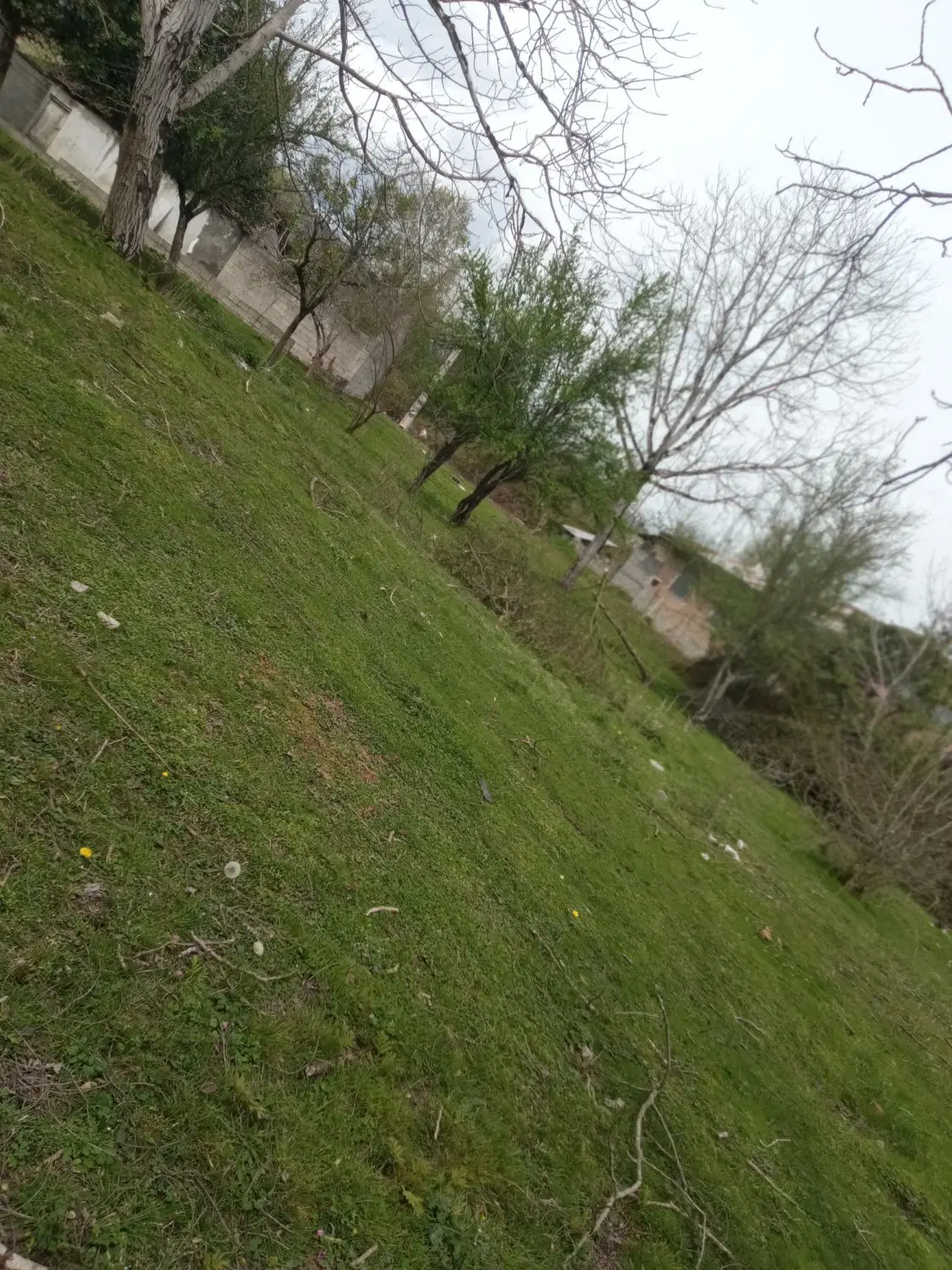 زمین مسکونی