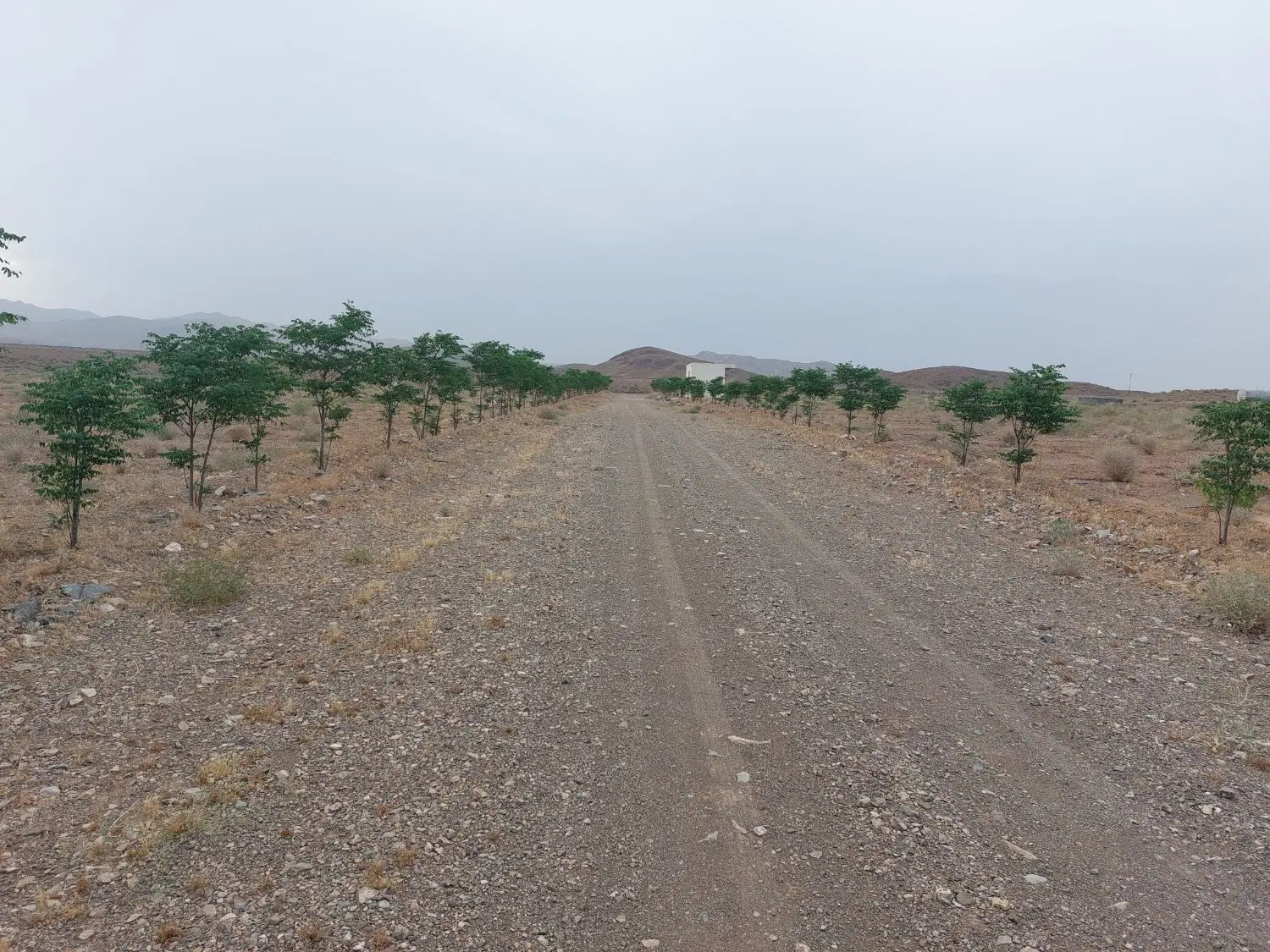 زمین کشاورزی بحر اتوبان ساوه همدان