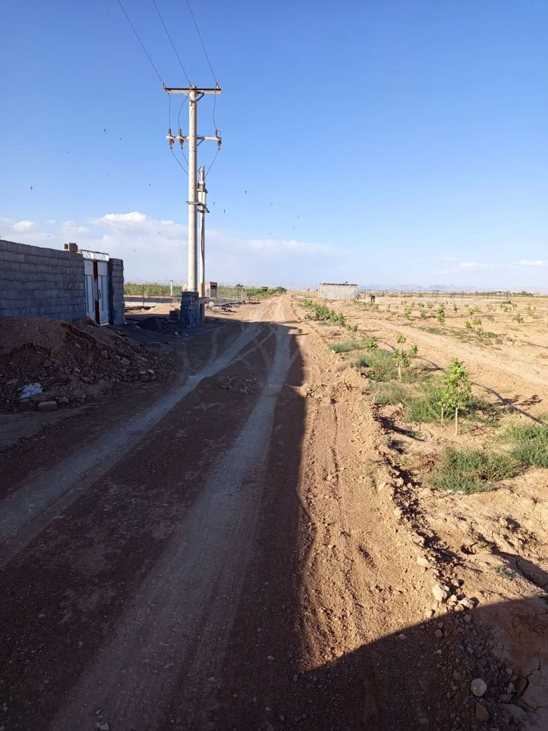 فروش زمین باغی اقساطی جهت سرمایه گذاری وتفریح