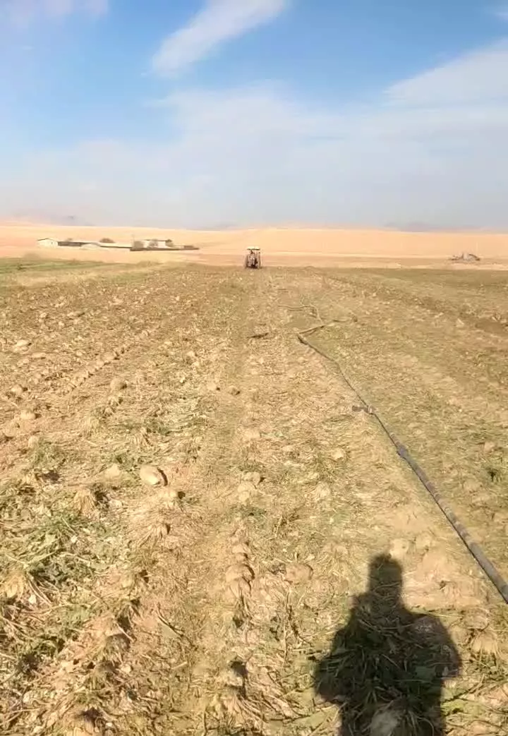 500 هکتار زمین برای اجاره  کشاورزی