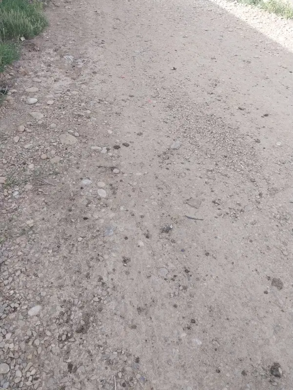 زمین به متراژ 800متری روستای عباسی