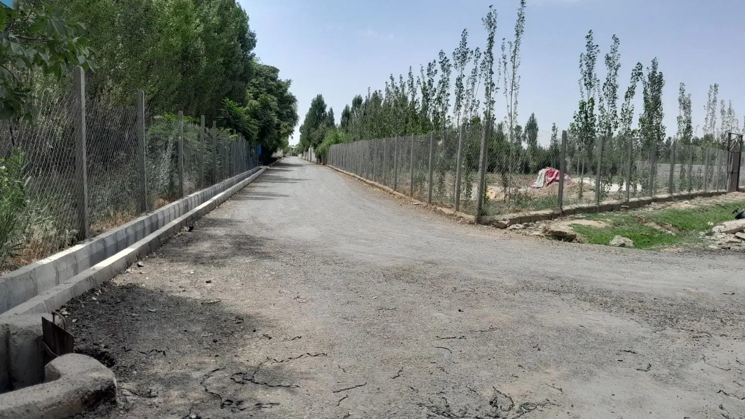 باغچه سند تک برگ. کرج . هشتگرد