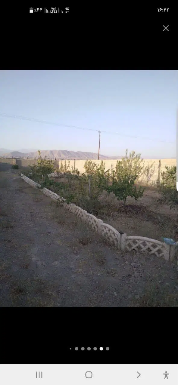 زمین و باغچه