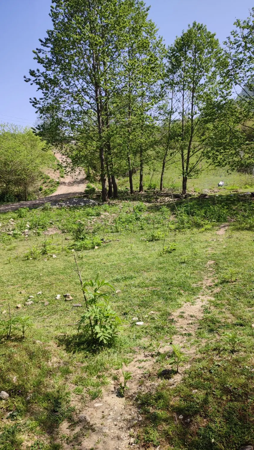 زمین مناسب کشاورزی