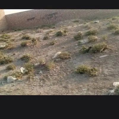 زمین مسکونی