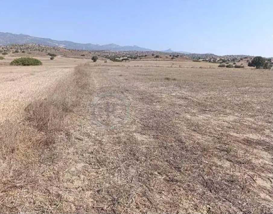 فروش زمین