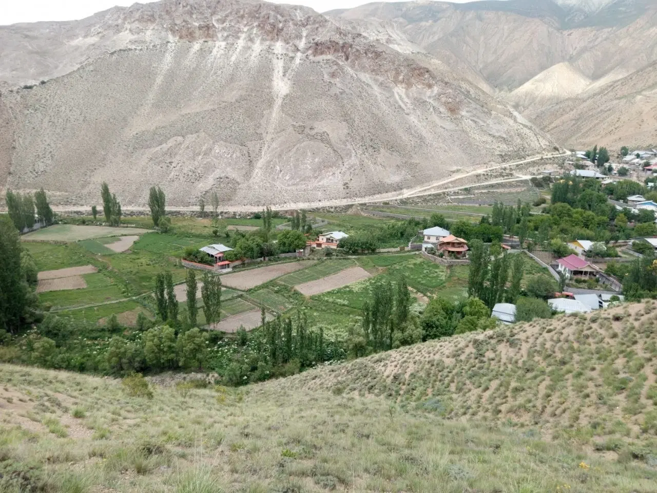 زمین ییلاقی