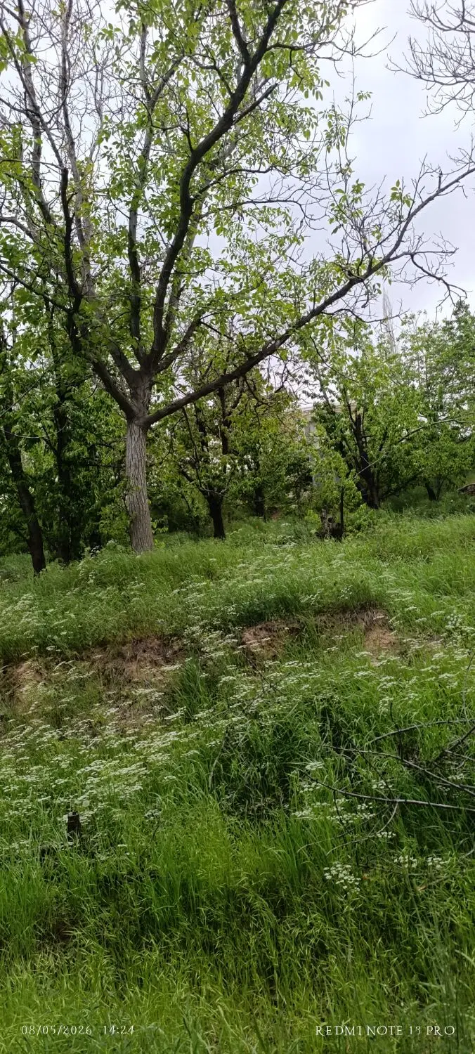 باغ ویلا روستای زوارم ویو ابدی