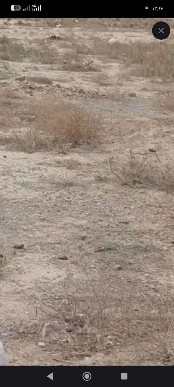 فروش زمین مسکونی سده لنجان