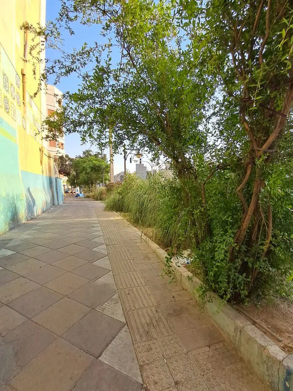 یادگار طوس ۶۰ متر