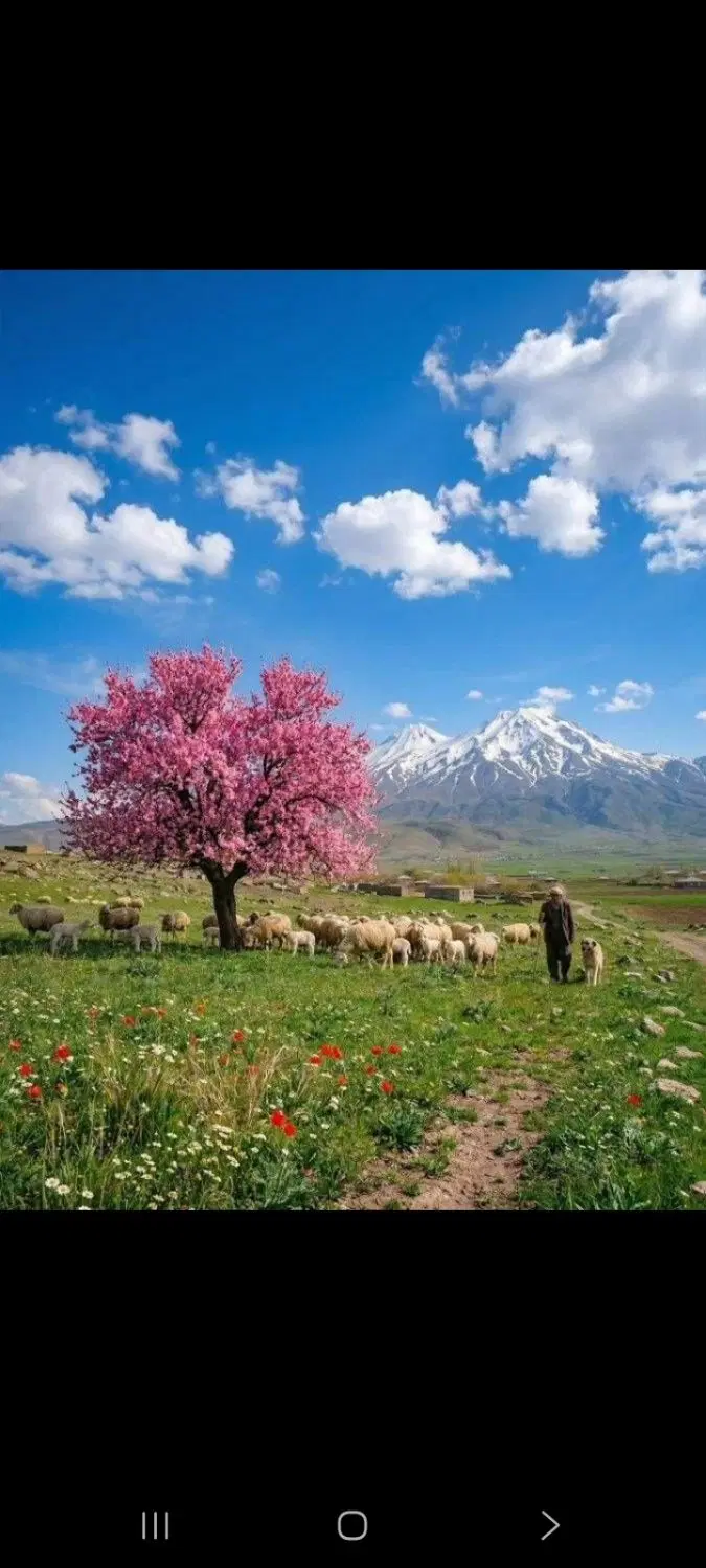 ۱۰۰مترجلدک پلاک۷۸
