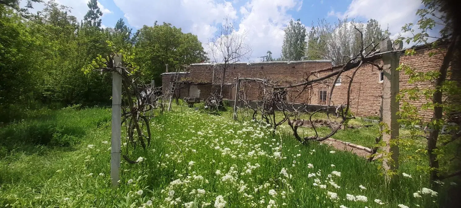 باغ وباغچه طرح هادی کنار جاده