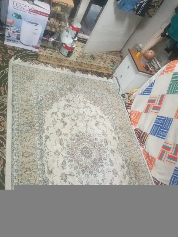 همخونه احتیاج دارم