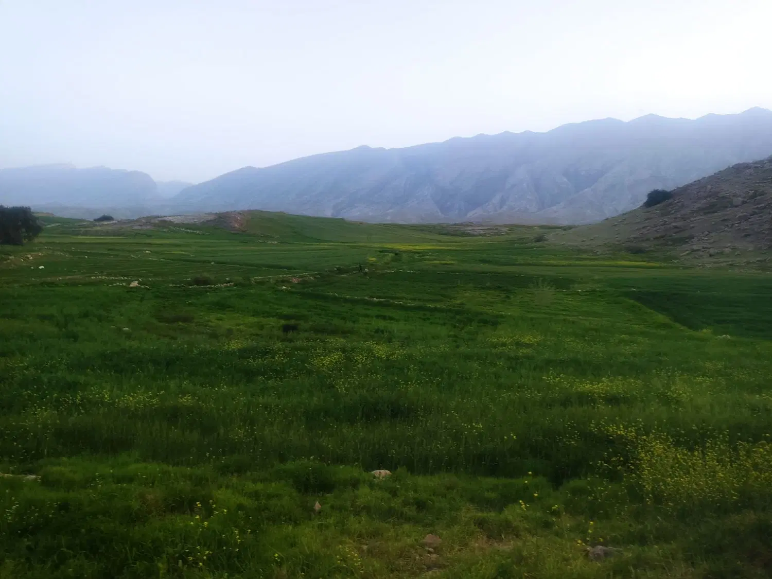 زمین مسکونی واقع در شهرک پرواز (میانگلال)
