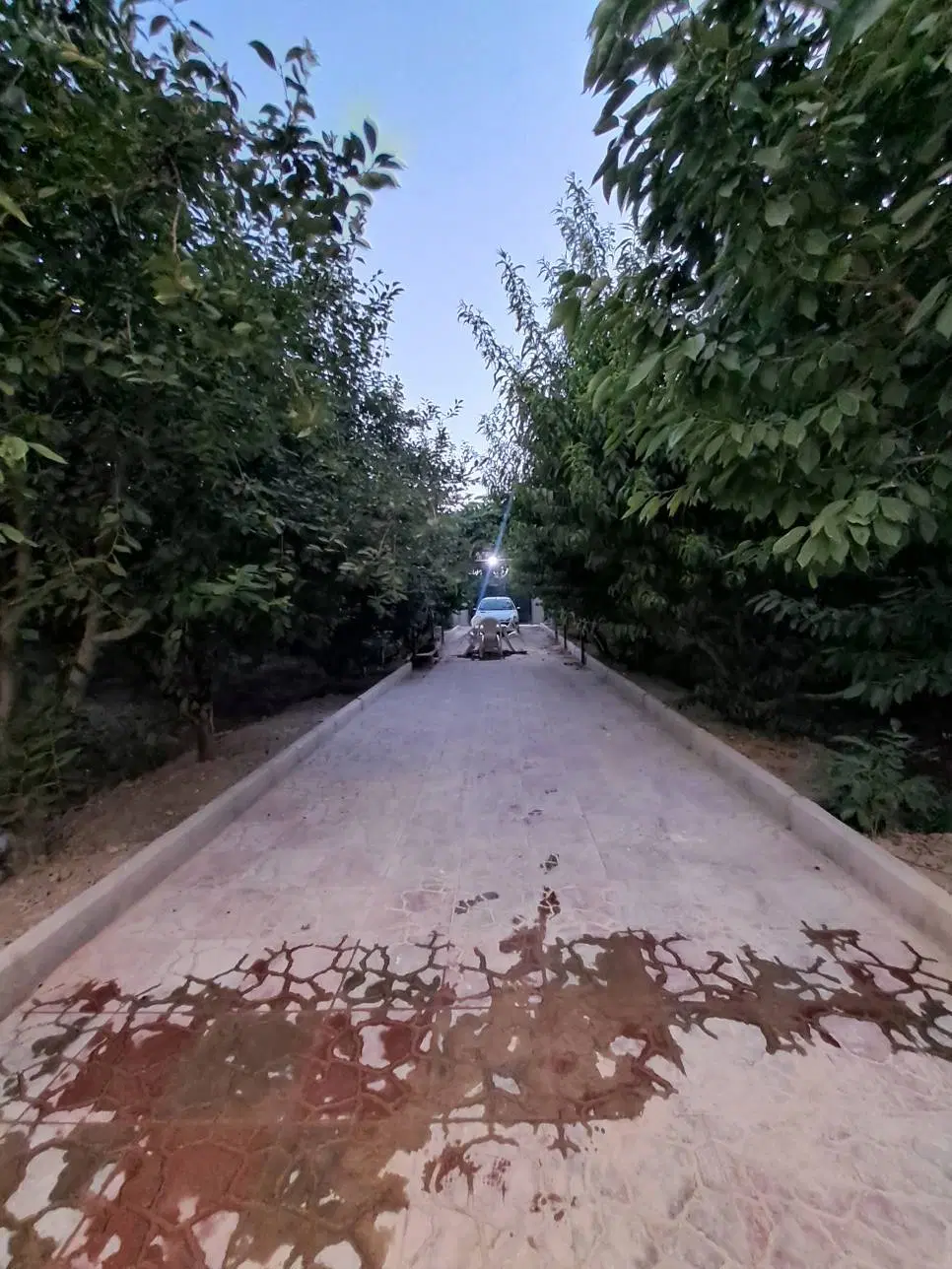ویلا باغ دوبلکس