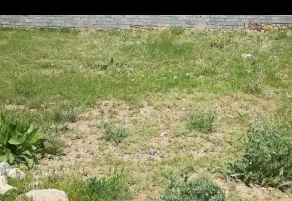 یک قواره زمین به مساحت 226متر به فروش میرسد