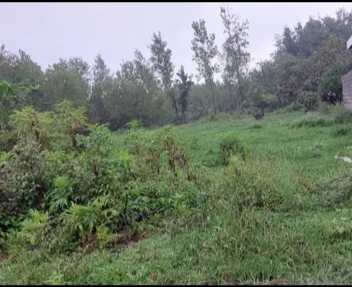 زمین ۲۹۱ متری شهری مسکونی