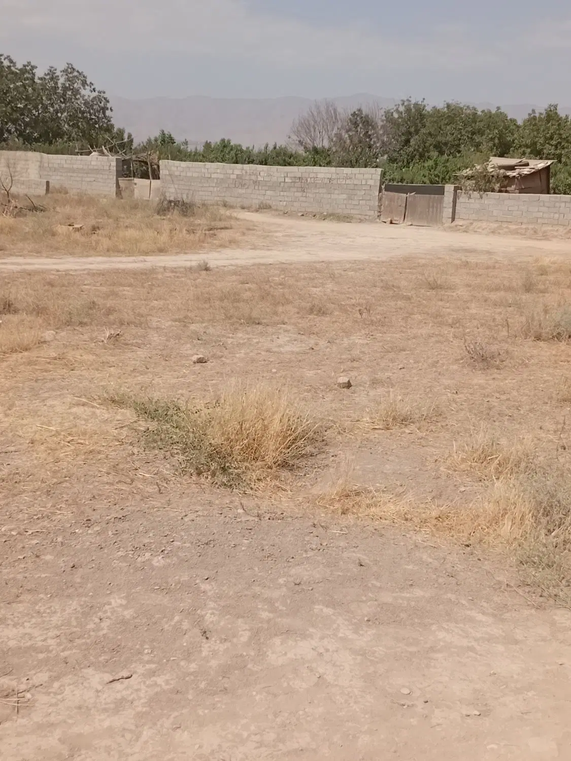 زمین واقع در قاسم اباد بزرگ