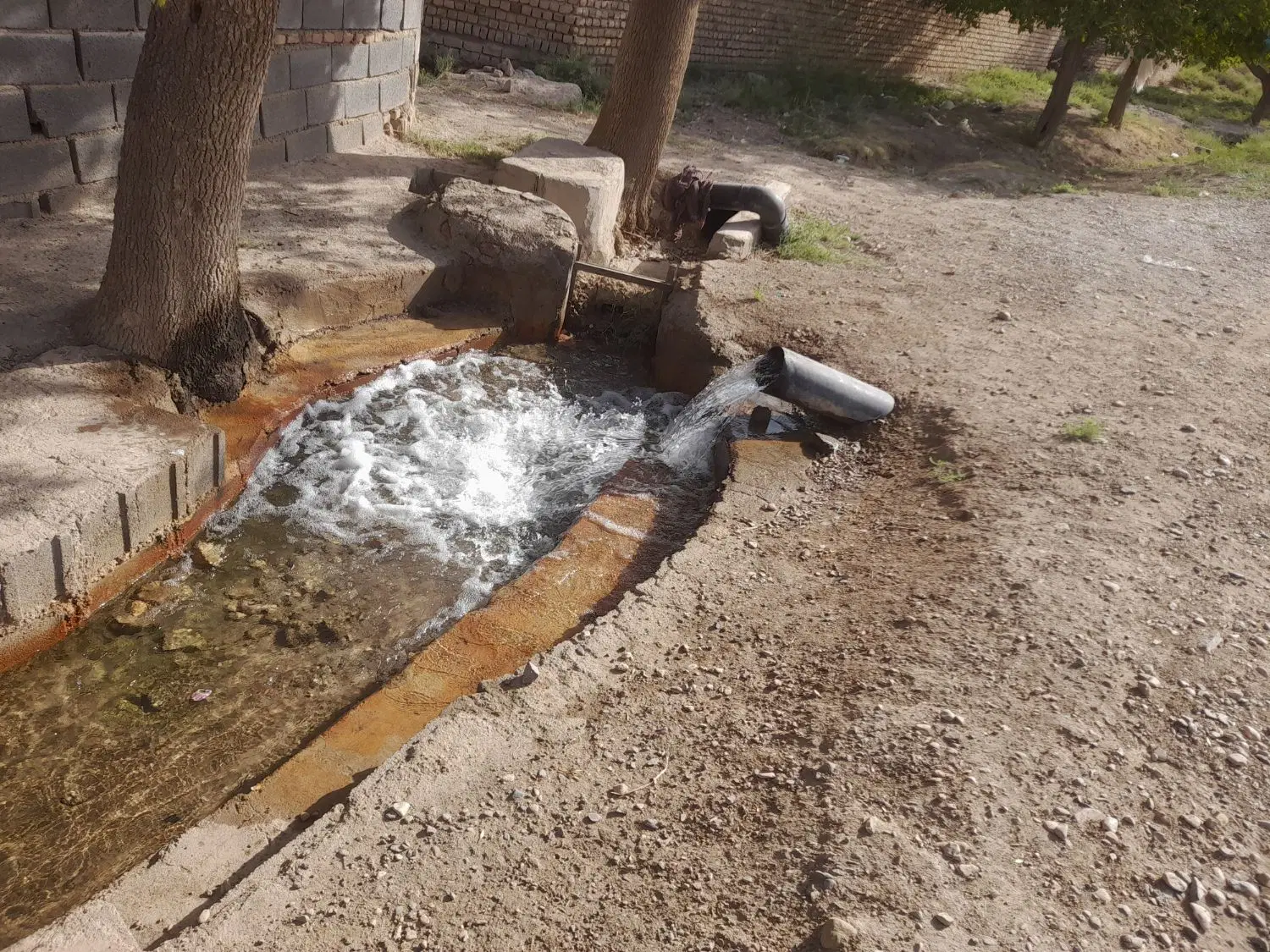 فروش باغ گوجه سبز واناردرالوسجردساوه