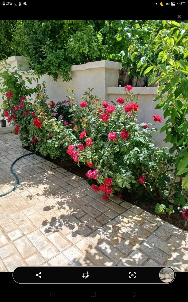 رهن آپارتمان ۸۸ متری. ۱ملیاردو ۳۰۰